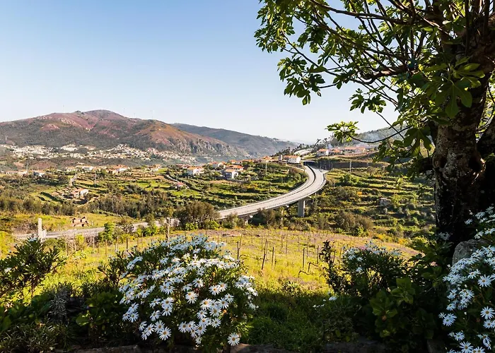 Quinta Do Pereiro De Cima